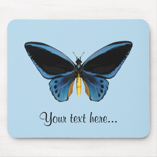 Schmetterling mit Vogelflügeln Mousepad (Vorne)