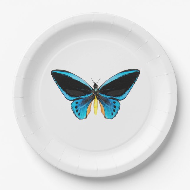 Schmetterling mit Vogelflügeln Pappteller (Vorderseite)