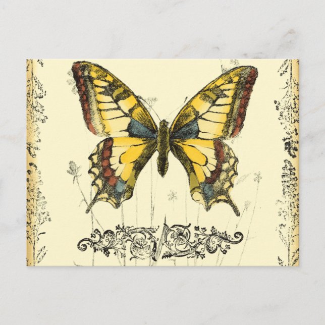 Schmetterling mit Wildblumen Postkarte (Vorderseite)