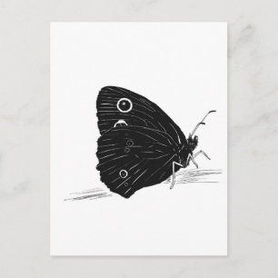 Schmetterling Monochrom Postkarte