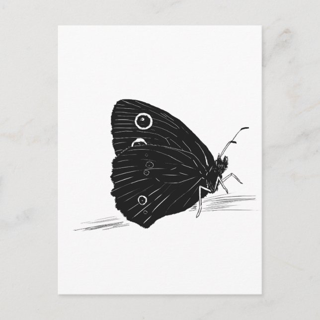 Schmetterling Monochrom  Postkarte (Vorderseite)