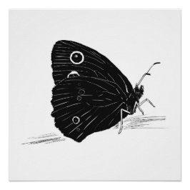 Schmetterling Monochrome Druck / Poster