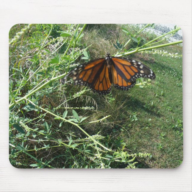 Schmetterling Mousepad (Vorne)