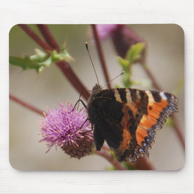 Schmetterling Mousepad (Vorne)