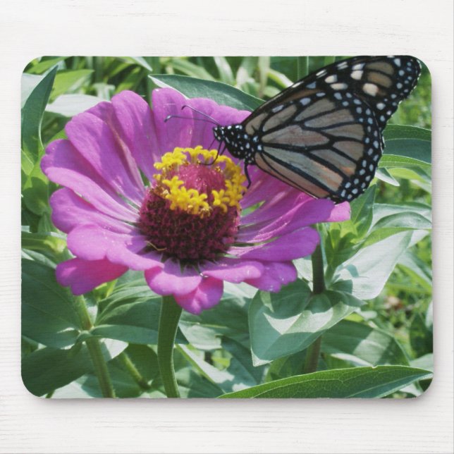 Schmetterling Mousepad (Vorne)