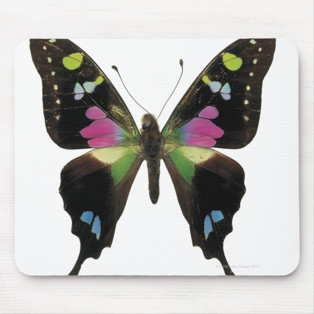 Schmetterling Mousepad (Vorne)