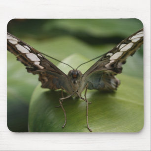 Schmetterling Mousepad