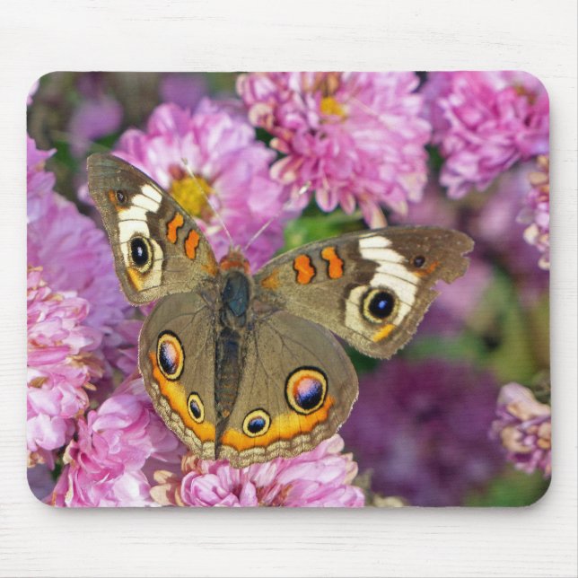 Schmetterling Mousepad (Vorne)
