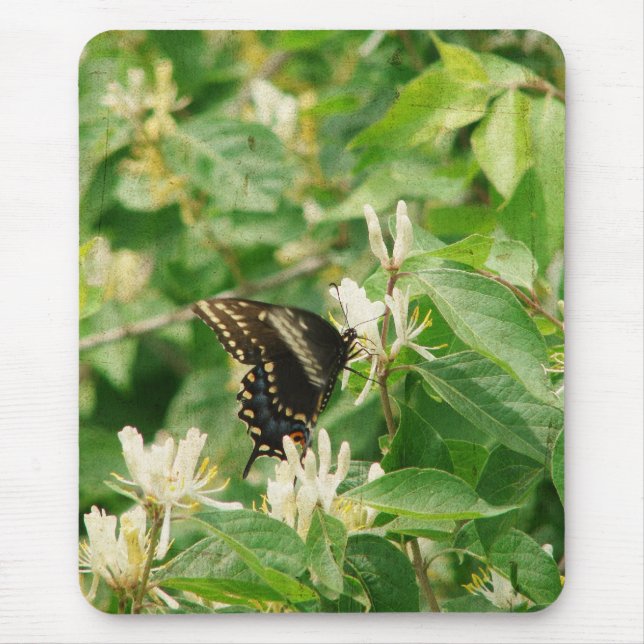 Schmetterling Mousepad (Vorne)