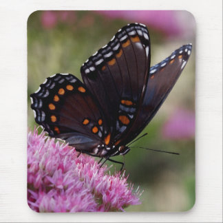Schmetterling mousepad