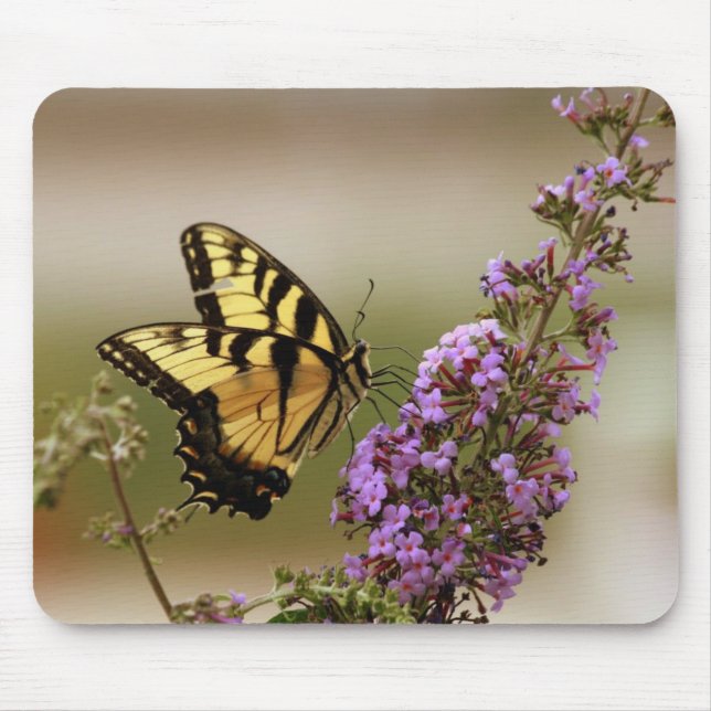 Schmetterling Mousepad (Vorne)