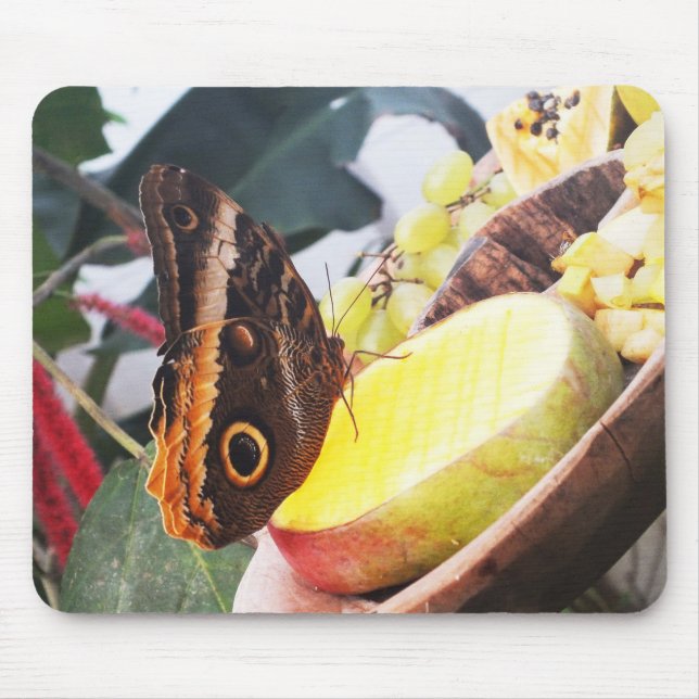 Schmetterling Mousepad (Vorne)