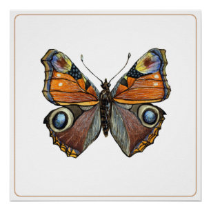 Schmetterling nah hoch, Aquarellbild Poster