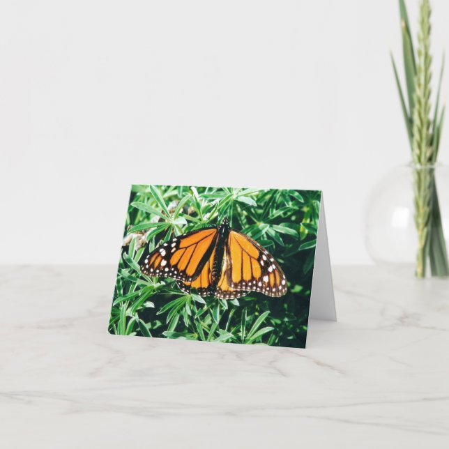 Schmetterling notecards karte (Vorderseite)