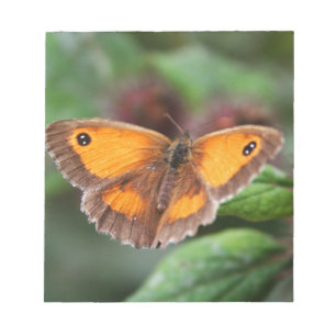 Schmetterling Notizblock