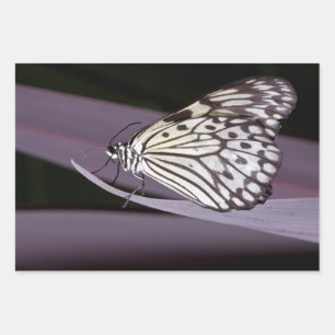 Schmetterling Papierdrachen auf lila Geschenkpapier Set