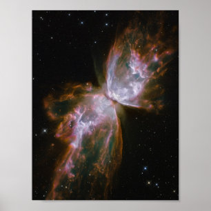 Schmetterling-Planetennebel Poster