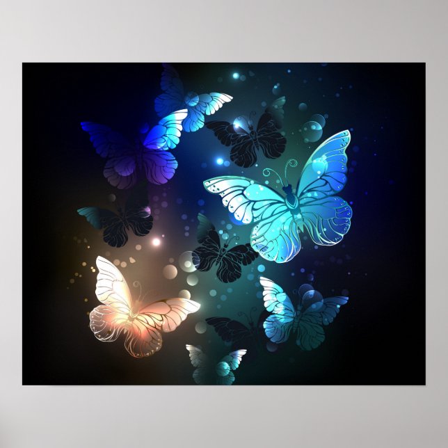 Schmetterling Poster (Vorne)