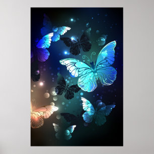 Schmetterling Poster