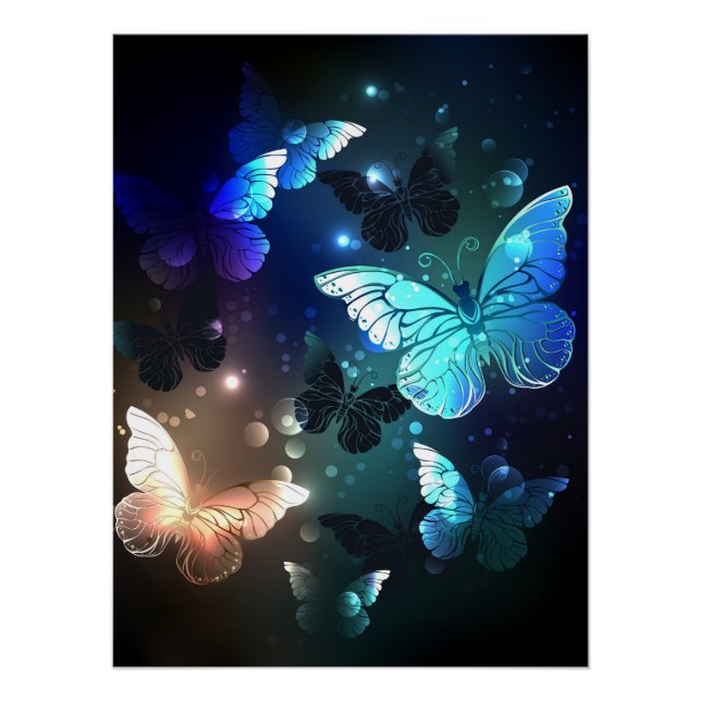 Schmetterling Poster (Vorderseite)