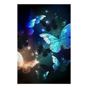 Schmetterling Poster