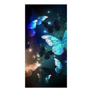 Schmetterling Poster