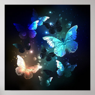 Schmetterling Poster