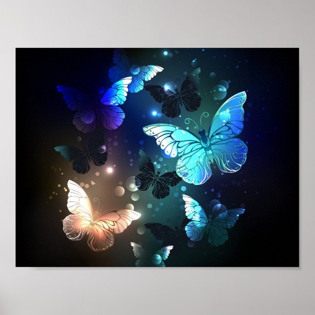 Schmetterling Poster (Vorne)