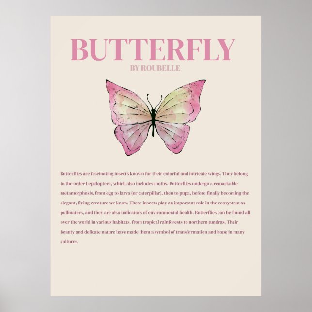 Schmetterling Poster (Vorne)