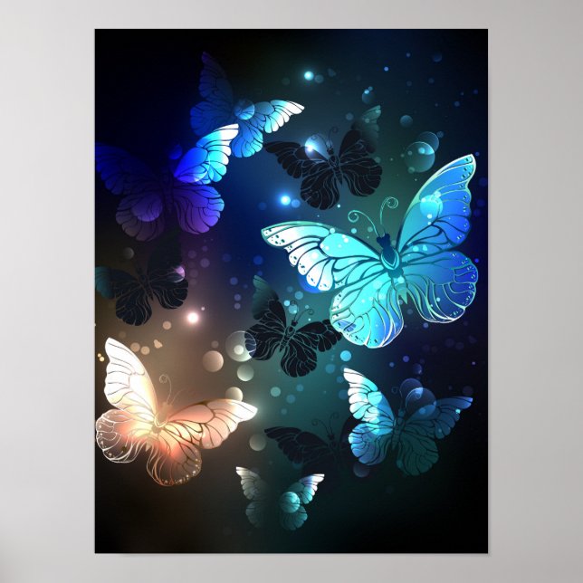Schmetterling Poster (Vorne)