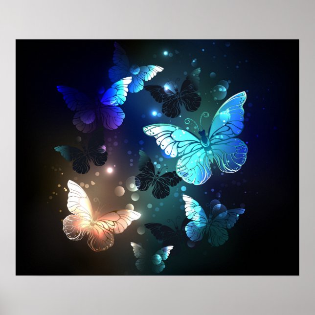 Schmetterling Poster (Vorne)