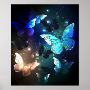 Schmetterling Poster