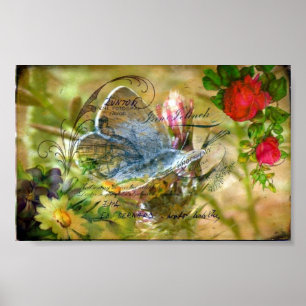 Schmetterling Poster