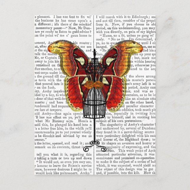 Schmetterling Postkarte (Vorderseite)