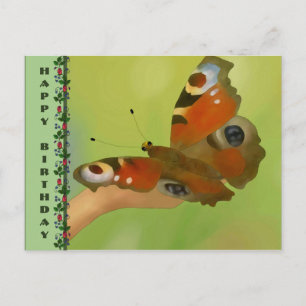 Schmetterling Postkarte