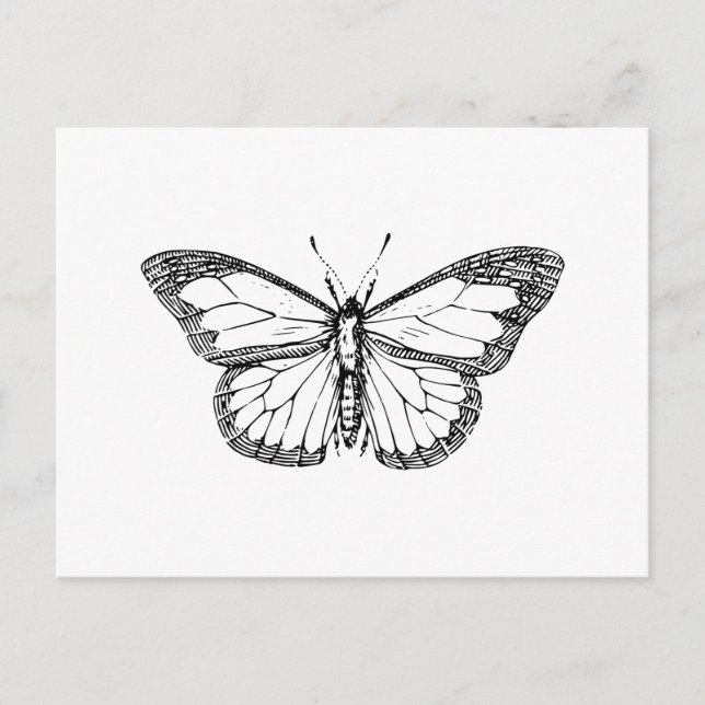 Schmetterling Postkarte (Vorderseite)