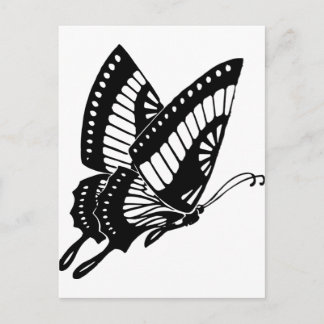 Schmetterling Postkarte