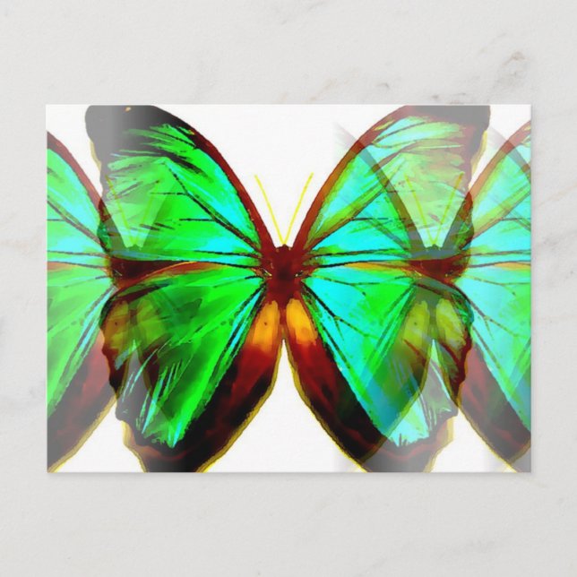 Schmetterling Postkarte (Vorderseite)