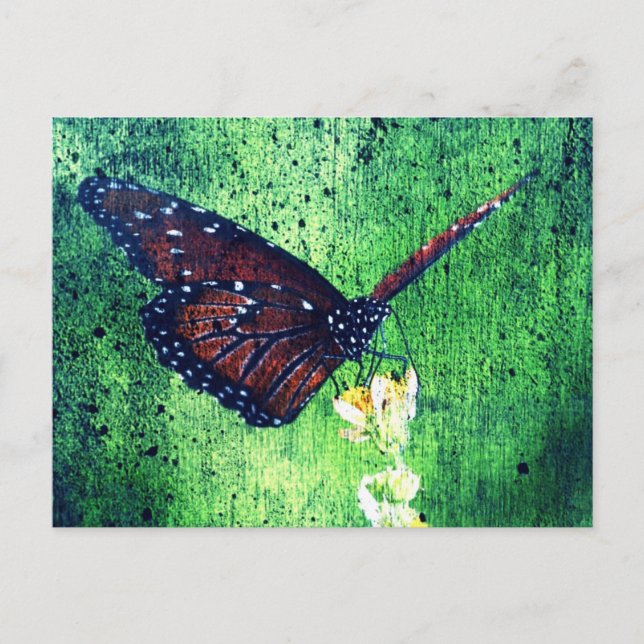 Schmetterling Postkarte (Vorderseite)