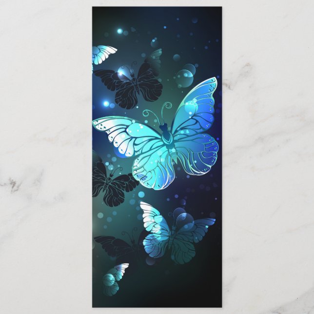 Schmetterling Programm (Vorderseite)