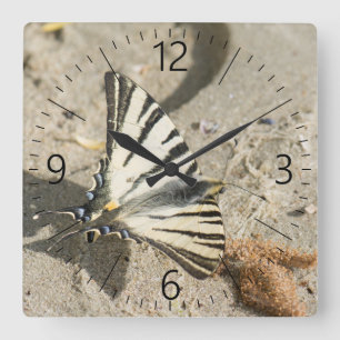 Schmetterling Quadratische Wanduhr