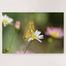Schmetterling Rosa und Gelb