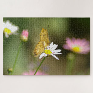 Schmetterling Rosa und Gelb