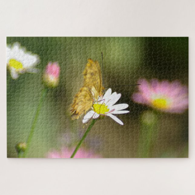 Schmetterling Rosa und Gelb (Horizontal)