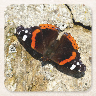 Schmetterling - Roter Admiral Rechteckiger Pappuntersetzer