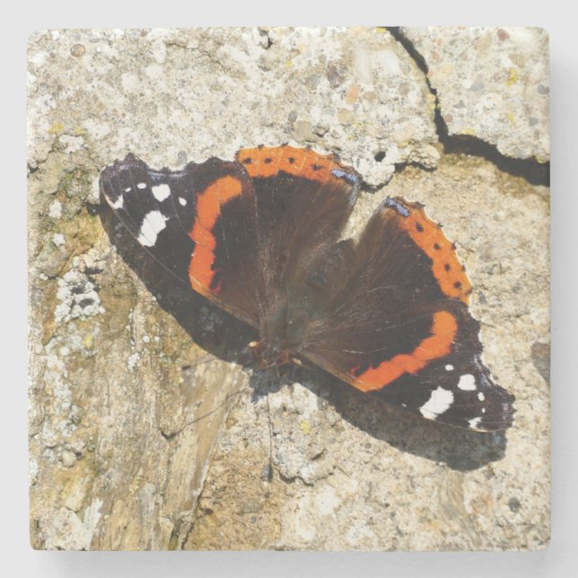 Schmetterling - Roter Admiral Steinuntersetzer (Vorderseite)
