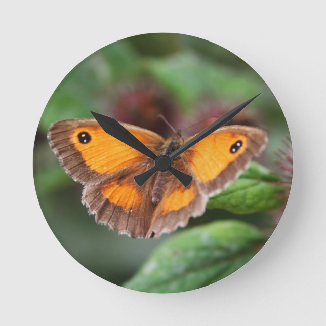 Schmetterling Runde Wanduhr (Vorderseite)