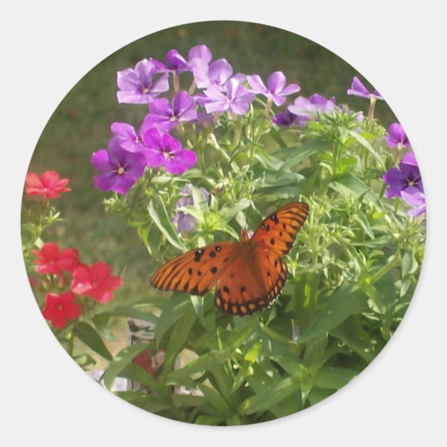 Schmetterling Runder Aufkleber (Vorderseite)