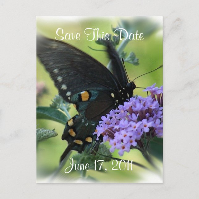 Schmetterling-Save the Date - anpassen. Ankündigungspostkarte (Vorderseite)