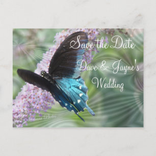 Schmetterling Save the Date anpassen Ankündigungspostkarte